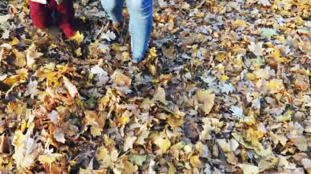 Primer plano madre con bebé caminando por las hojas de otoño al aire libre — Vídeos de Stock