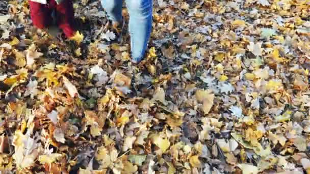 Grosse mère avec bébé marchant à l'automne feuilles en plein air — Video