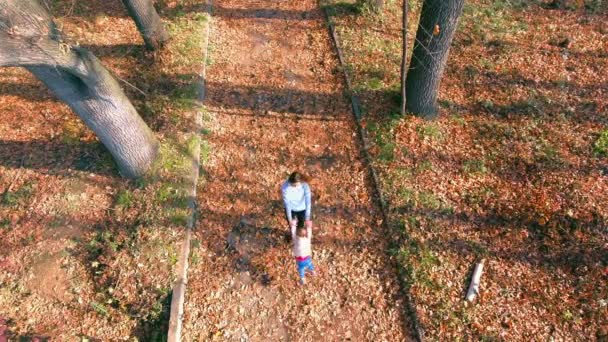 Mamá se vuelve bebé al aire libre. Vista superior desde el helicóptero dron. Otoño — Vídeos de Stock