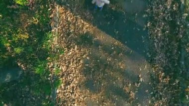 açık yürüyüş bebek. Üstten Görünüm, uçak helikopter. Sonbahar