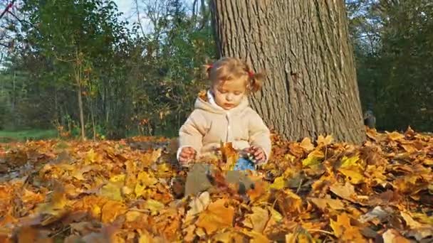 Baby spelen met bladeren buiten. Herfst bos, park. — Stockvideo