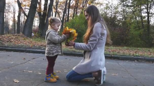 Mãe com bebê brincando deixa ao ar livre. Floresta de outono, parque . — Vídeo de Stock