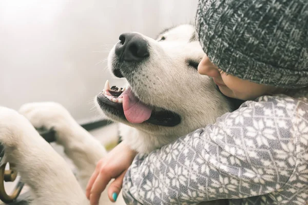 Bild eines jungen Mädchens mit ihrem Hund, alaskan malamute, outdoor lizenzfreie Stockfotos