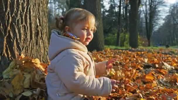 Bebé jugando con hojas al aire libre. Bosque de otoño, parque . — Vídeos de Stock