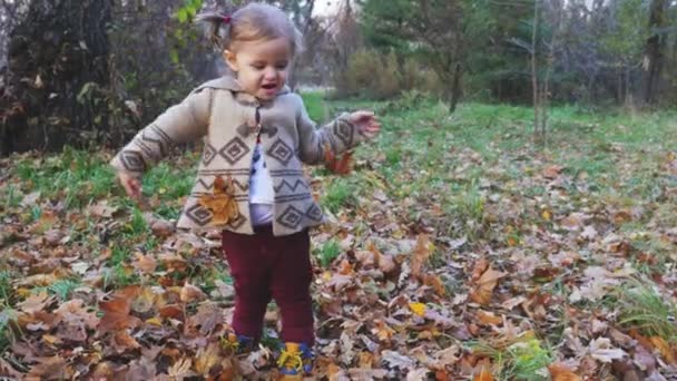 Μωρό παίζει με τα εξωτερικά φύλλα. Φθινοπωρινό δάσος, πάρκο. — Αρχείο Βίντεο