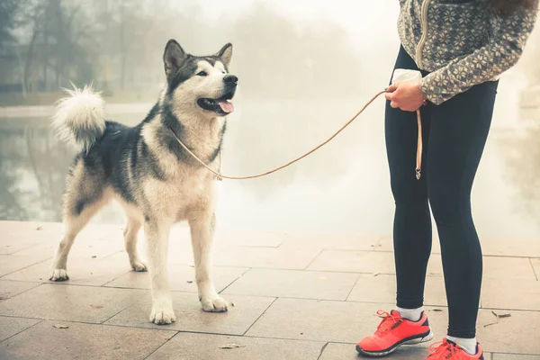 Imagen de una jovencita corriendo con su perro, Alaska Malamute — Foto de Stock