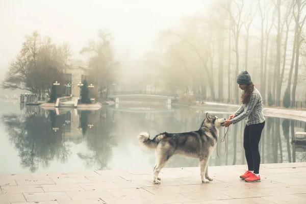 Afbeelding meisje met haar hond, een alaskan malamute, buiten — Stockfoto