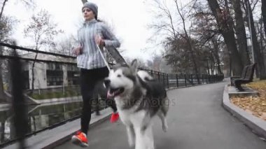 Köpeğini, alaskan malamute koşan genç kız görüntüleri