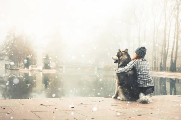 Imagem da menina com seu cão, malamute alasca, ao ar livre — Fotografia de Stock