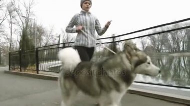 Köpeğini, alaskan malamute koşan genç kız görüntüleri