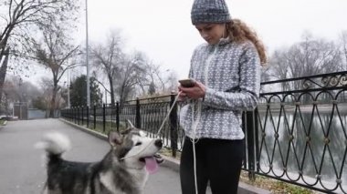 Köpeğini, alaskan malamute koşan genç kız görüntüleri