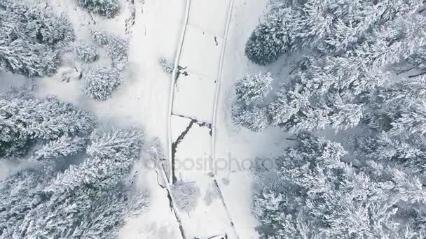 Αεροφωτογραφία ώρα λήξη ορεινό δάσος το χειμώνα. Άνθρωποι περιπέτεια — Αρχείο Βίντεο