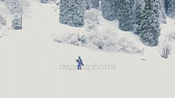 Σνόουμπορντ και σκι υγιείς δραστηριότητες, περιπέτεια στις Άλπεις Όρη, Ελβετική — Αρχείο Βίντεο