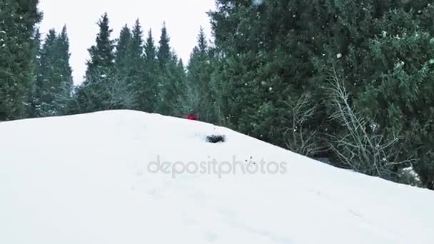 Footage av skidåkare som hoppar från träd på berg, vinter — Stockvideo