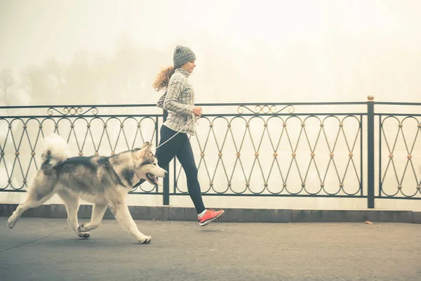 Imagen de una jovencita corriendo con su perro, Alaska Malamute —  Fotos de Stock