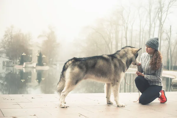 Imagem da menina com seu cão, malamute alasca, ao ar livre — Fotografia de Stock