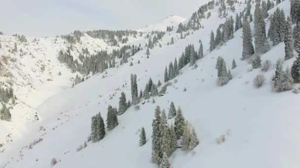 Aventura de filmagem vista aérea na montanha, inverno. Snowboard e área de esqui. 4K vídeo por drone — Vídeo de Stock