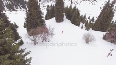Havadan görünümü görüntüleri kayakçı tarafından dağ backcountry, toz sürme