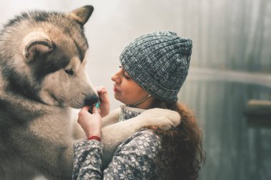 Köpeğini, alaskan malamute, açık ile genç kızın görüntü
