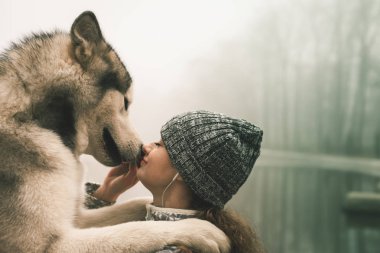 Köpeğini, alaskan malamute, açık ile genç kızın görüntü