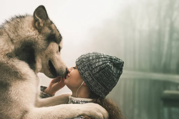 Imagem da menina com seu cão, malamute alasca, ao ar livre — Fotografia de Stock