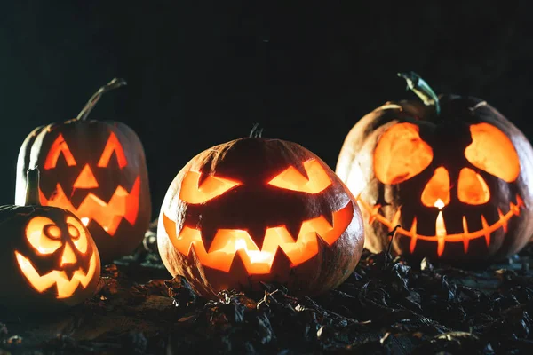 Halloween pumpkins, ahşap arka plan.