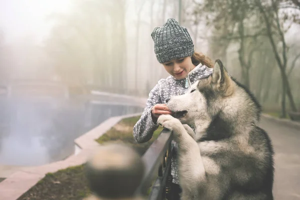 Genç kızın görüntü sarılmak köpeğini, alaskan malamute, açık — Stok fotoğraf