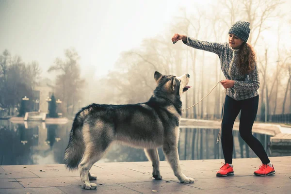 Imagen de chica joven abrazando a su perro, Alaska Malamute, al aire libre —  Fotos de Stock