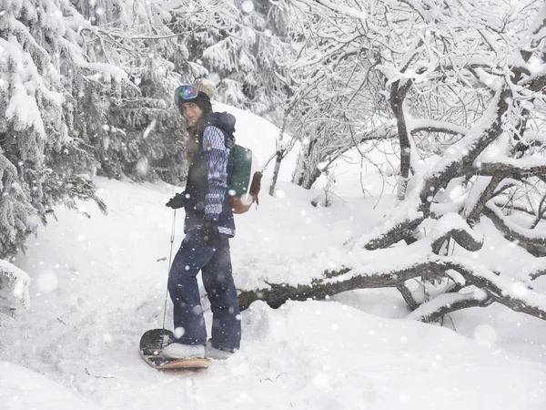Snowboard kız İsviçre karlı ağaç arka plan üzerinde. — Stok fotoğraf