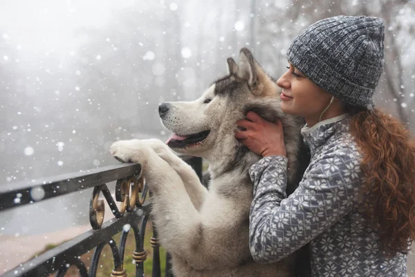 Imagem da menina com seu cão, malamute alasca, ao ar livre — Fotografia de Stock