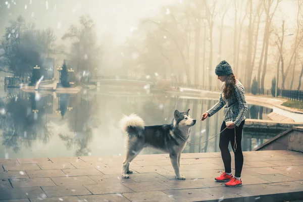 Image of young girl with her dog, alaskan malamute, outdoor — Stock Photo, Image