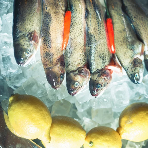 Ingredients for cooking trout, river fish, with lemon and spices — Stock Photo, Image