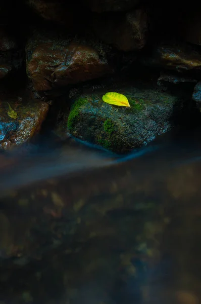 Une feuille jaune sur la roche avec une cascade en basse teinte foncée et lo — Photo
