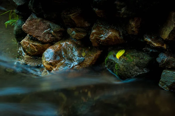 Ein gelbes Blatt auf dem Felsen mit Wasserfall in dunklem Tiefton und — Stockfoto