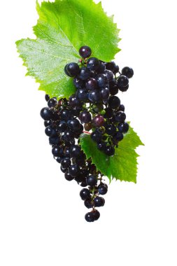 üzüm whith yaprakları
