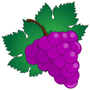Mor üzüm asma ile yapraklar