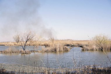 bir köprü ile bir su birikintisi üzerinde duman. ateş alanı