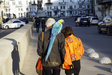 Eski hipsters büyük bir papağan ile çift bir kenti Avrupa'nın şehir merkezine yürüyüş omuz mans