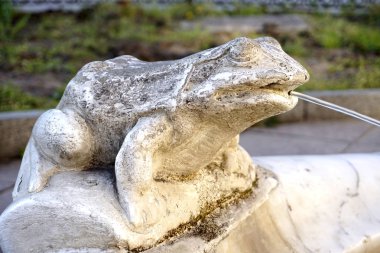 Kurbağa heykel su dökerek, ayrıntılı bir çeşmenin Odessa, Ukrayna.