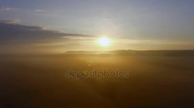 Buğday ile bir alanın üzerinde uçuş