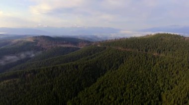 Ukraynalı Karpat Dağları. Mount Hoverla sayılı.