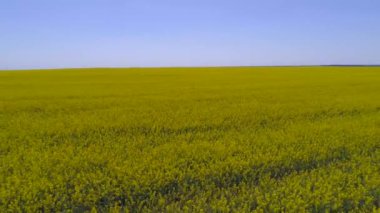 Bir alanın tecavüz ile havadan görünümü