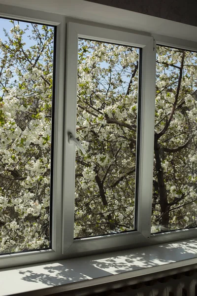 Νέο πλαστικό παράθυρο με θέα το ανθισμένο δέντρο Royalty Free Φωτογραφίες Αρχείου