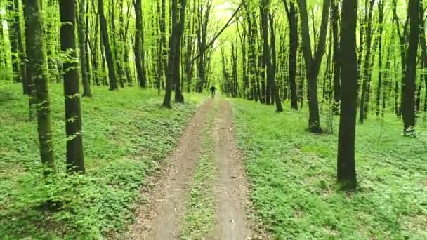 Велосипедні прогулянки лісовою стежкою . — стокове відео
