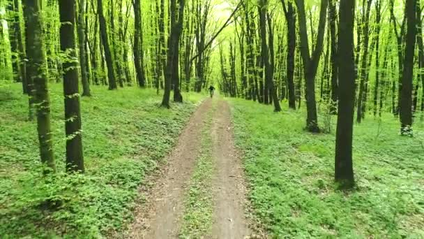 Paseos en bicicleta a lo largo de la ruta forestal . — Vídeo de stock