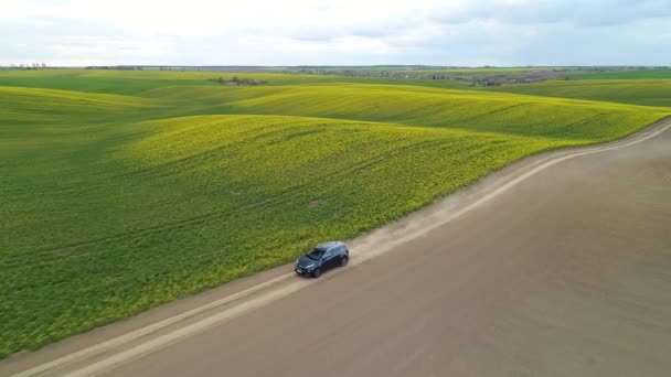 El coche cruza el campo. Vista aérea . — Vídeos de Stock