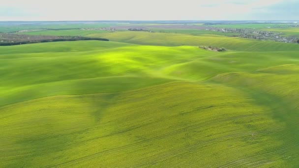 Vue des champs de printemps avec colza et blé. Rayons de soleil . — Video