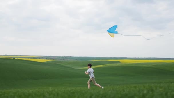 男孩放了一个风筝，和他一起跑过田野. — 图库视频影像