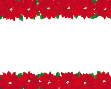 Poinsettias 'ın kutsal arkaplan çizimi