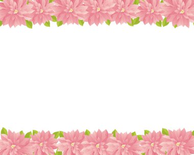 Poinsettias 'ın kutsal arkaplan çizimi